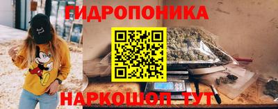 гидра Аша